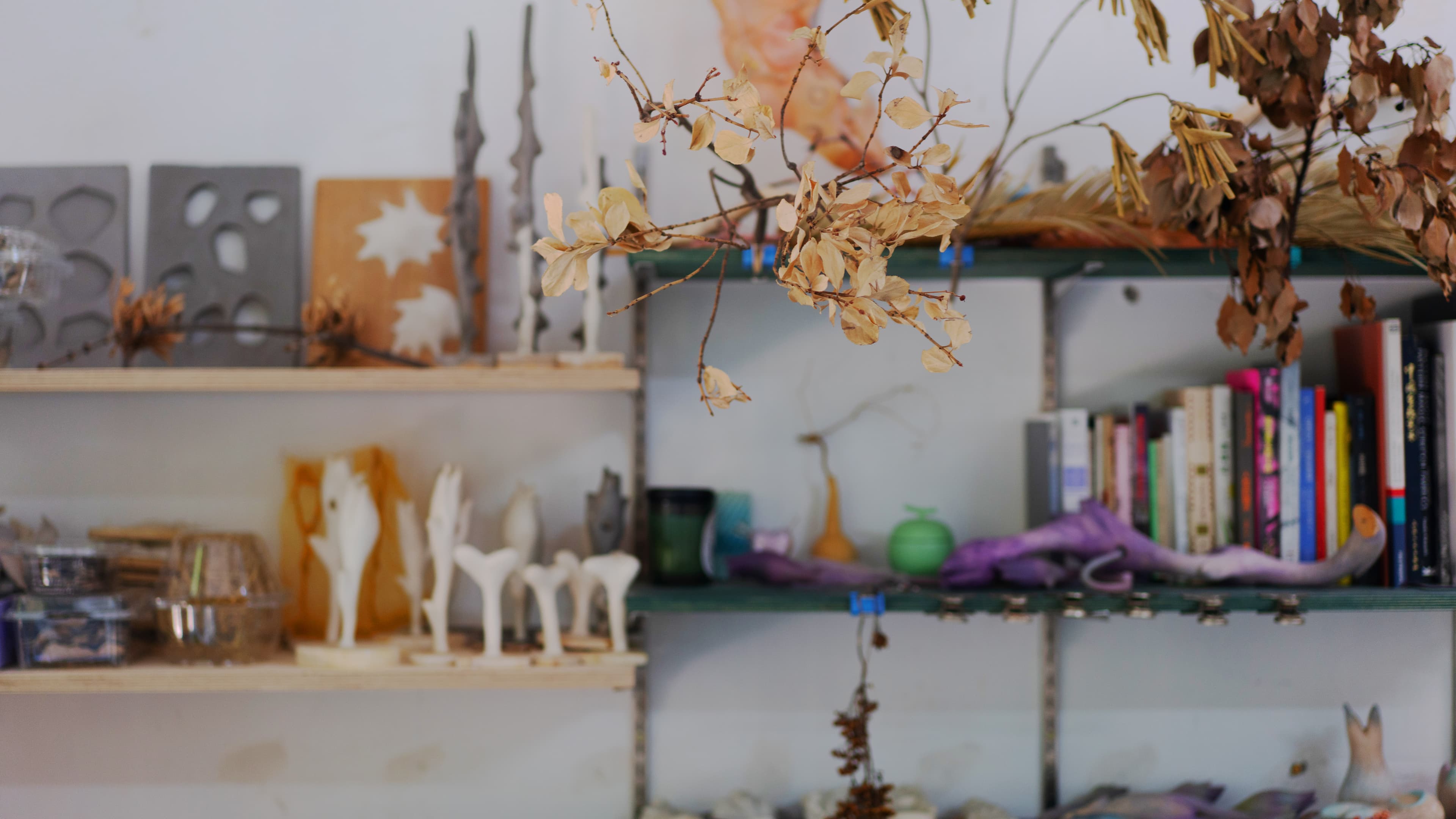 Shelves of sculptures, books, and dried branches in Yuyu Wang's studio